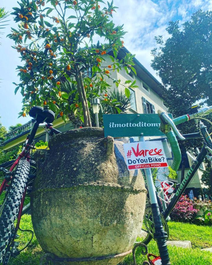 Il Motto Di Tommy Bed & Breakfast